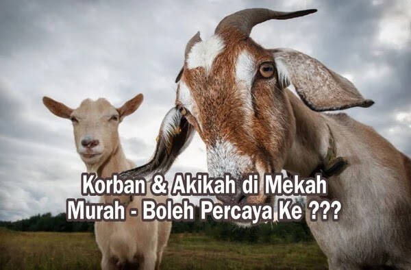 Ibadah Korban Dan Akikah Di Mekah Murah Dipercayai