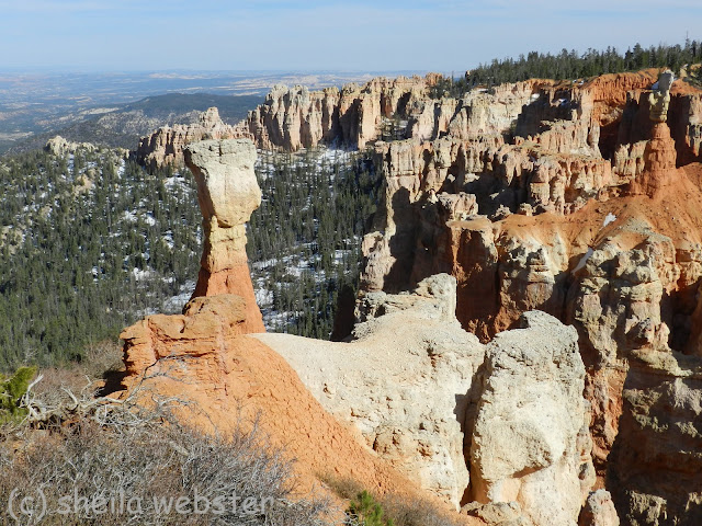 A single hoodoo stands close to the rim