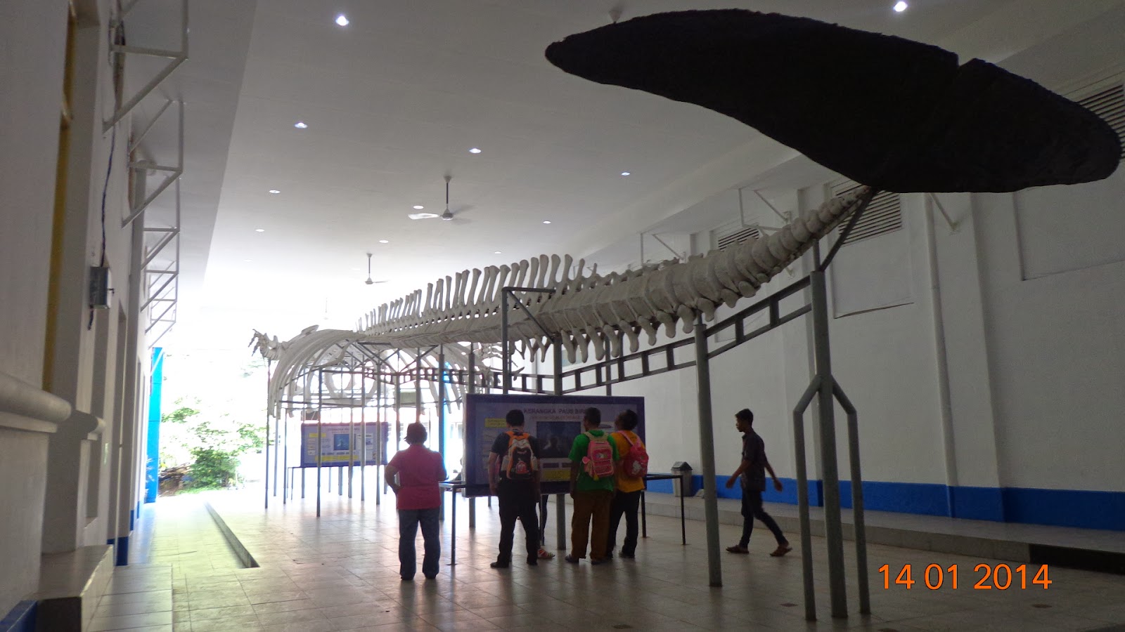 Museum Zoologi  Ridwan Joelyant s