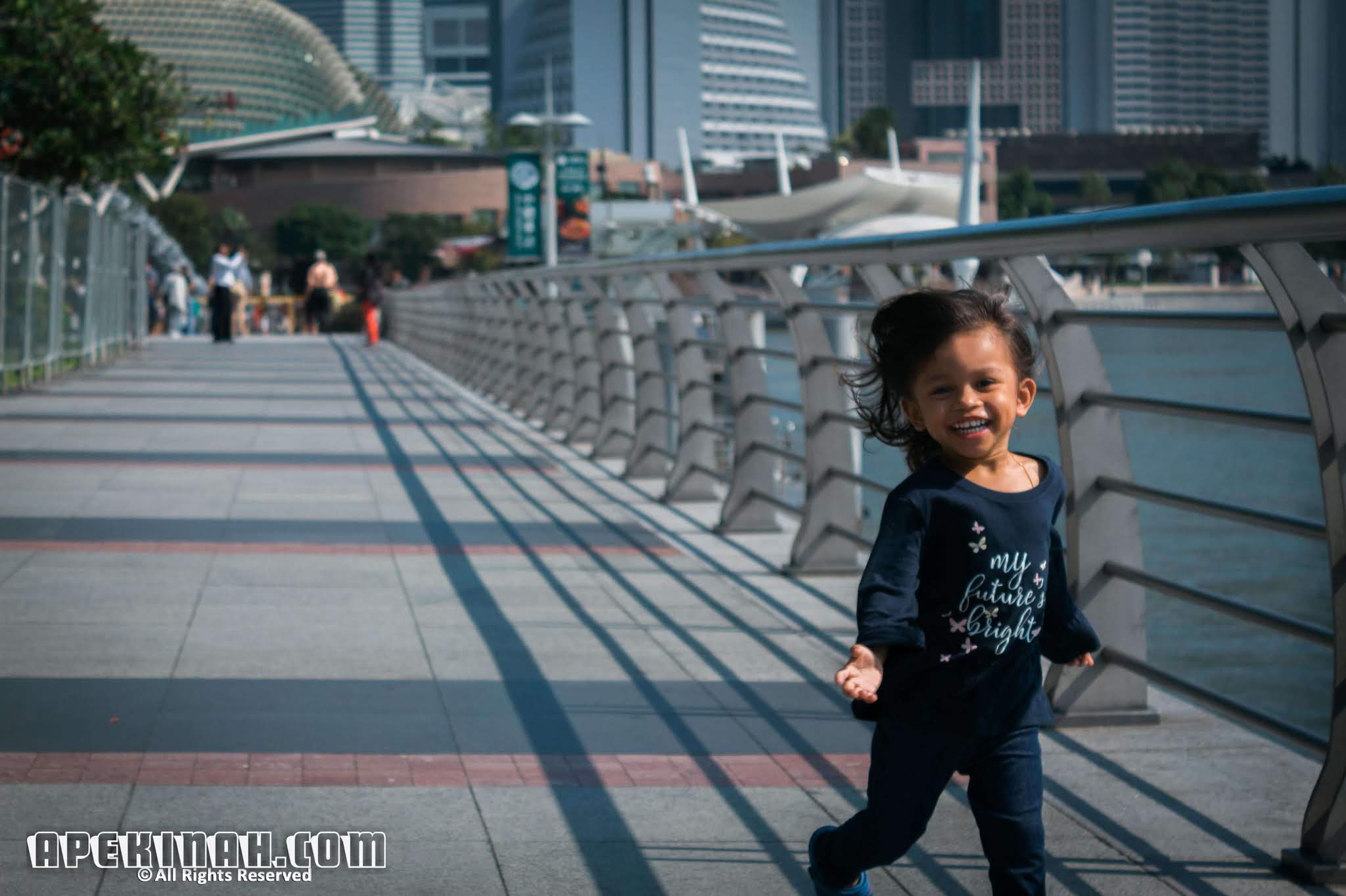 Singapore Trip: Merlion Park