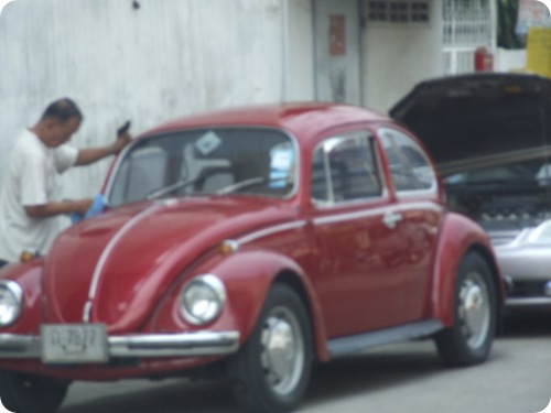 DSCF5196