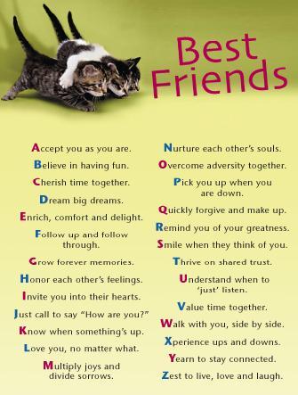 quotes for pictures. good quotes about friendship