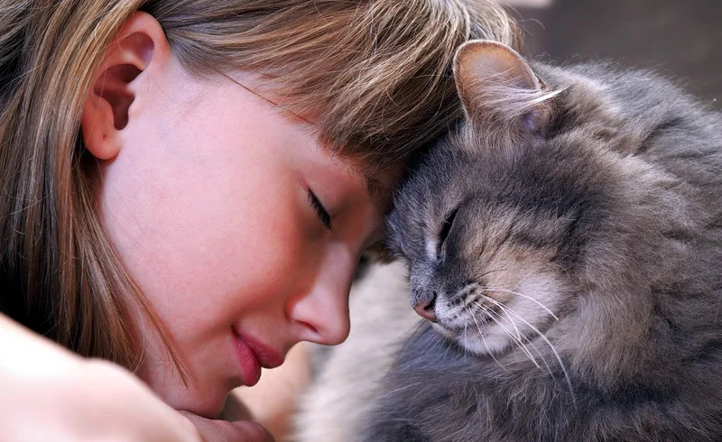 What to Do If Your Pet Doesn't Like You
