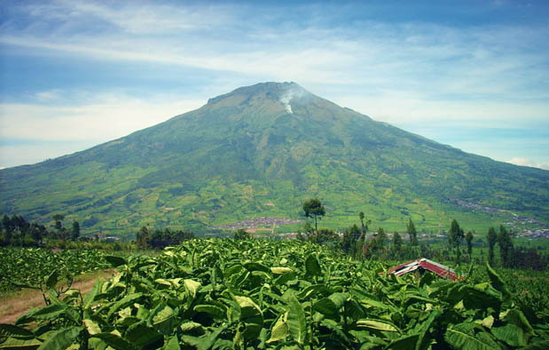 Gunung Tertinggi di Jawa