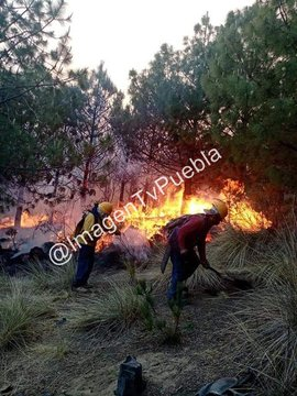 Hay fuerte incendio en el Parque Nacional La Malinche, Puebla