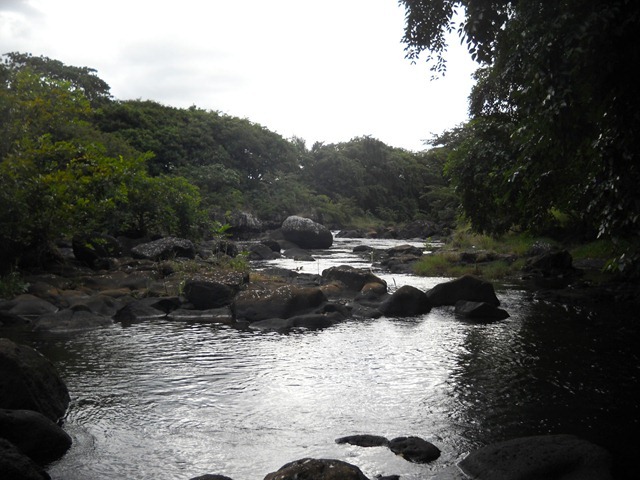 DSCN7198