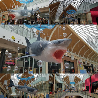 Shark at St David's shopping centre in Cardiff