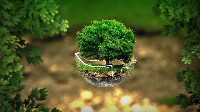 Save Environment Speech in Malayalam Language പരിസ്ഥിതി സംരക്ഷണം പ്രസംഗം