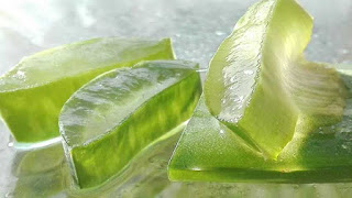 aloevera ras ke fayde