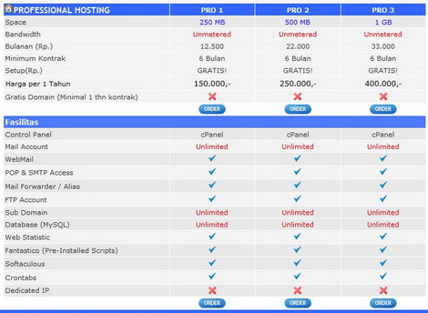 Professional Hosting Indonesia