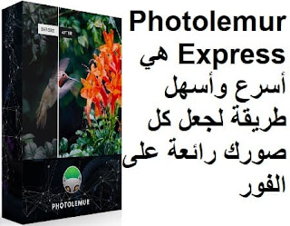 Photolemur Express هي أسرع وأسهل طريقة لجعل كل صورك رائعة على الفور