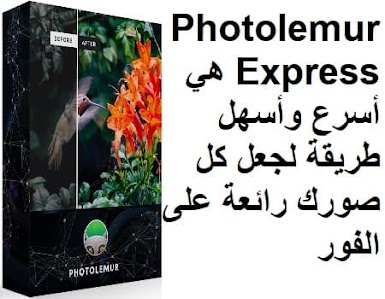 Photolemur Express هي أسرع وأسهل طريقة لجعل كل صورك رائعة على الفور