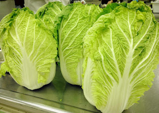 Chinese Cabbage Benefits For Health - 1