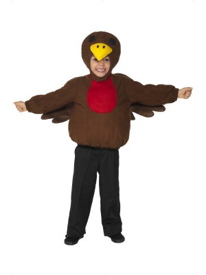 Robin Bird Costume