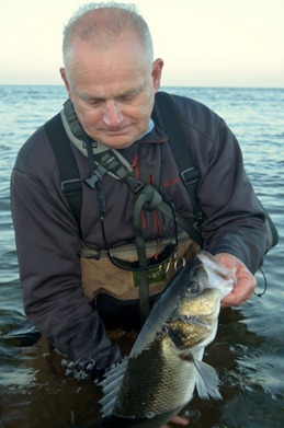 Bass fishing lures