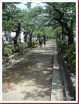DSC05171