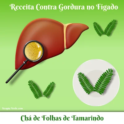 Receita Contra Gordura no Fígado: Chá de Folhas de Tamarindo