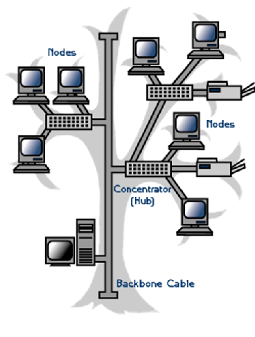 Macam Macam Topologi Jaringan Komputer