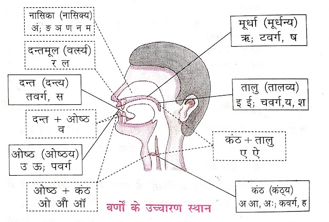 वर्णों के उच्चारण स्थान 