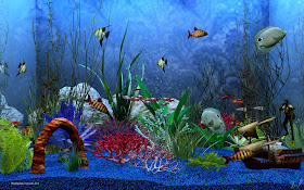 Free Download Aquarium Deskop 3 Full Version