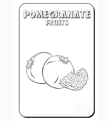 Red Pomegranate Seeds Coloring Pages Picture