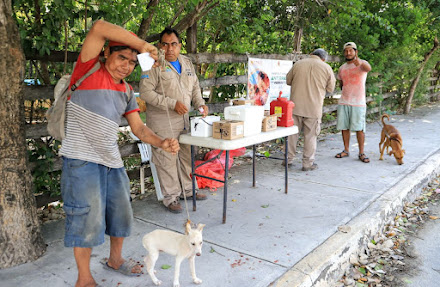 Avanza la Jornada de Vacunación Canina y Felina en Isla Mujeres 