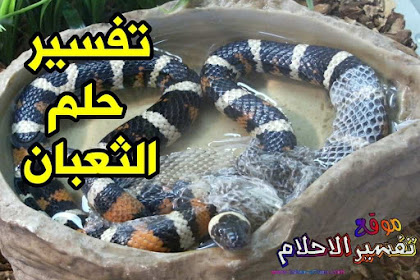 تفسير اللون البنفسجي في الحلم للعزباء