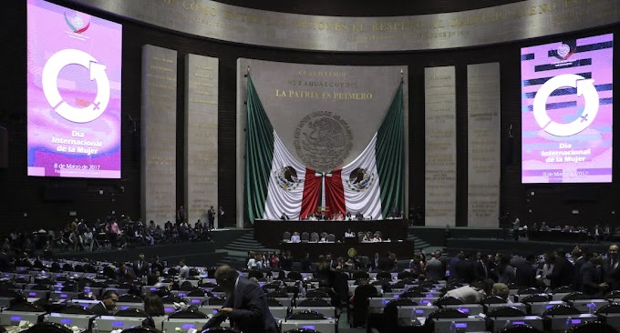 Diputados echan para atrás el dictamen sobre aborto y atención médica obligatorias en caso de violación