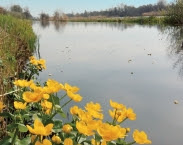 Cover foto Jaarrapport 2016 De Rijn. De waterkwaliteit in Rijn en Maas 2016