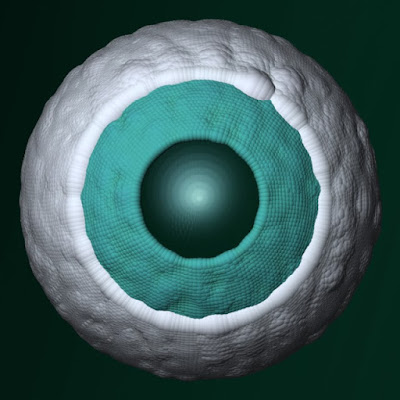 The 3D modeling eyeball made with a Gray Scott model.