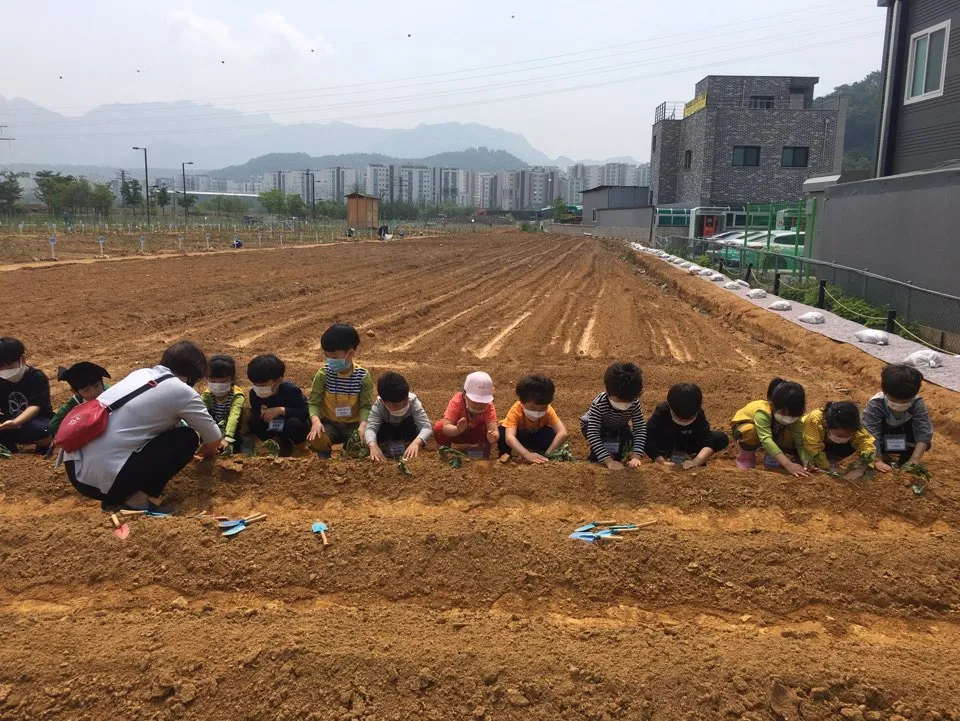 ▲ 텃밭 경작 사진