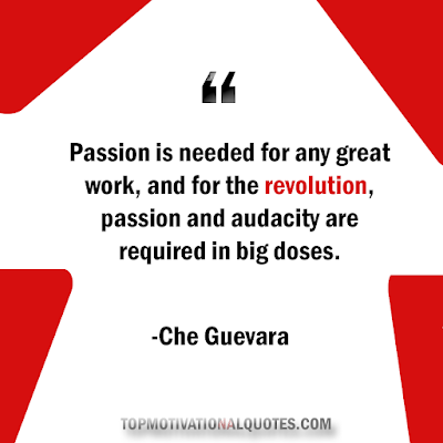 Passion is needed for any great work, and for the revolution, passion and audacity are required in big doses.  quote pic by che guevara