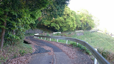 下赤阪の棚田(南河内郡千早赤阪村)(２０１８年)