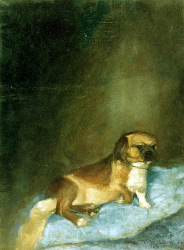 Pintor Alejandro Cabeza, Retrato de la perrita Lleni, Pintor Retratista, Alejandro Cabeza, Retrato de perra, Salomé Guadalupe Ingelmo, Pintores españoles, Pintor Alejandro Cabeza, Retratistas españoles actuales, Retratistas actuales, Retratistas españoles, Pintores Valencianos,  Joaquín Torrents Llado, Revello de Toro, Joaquín Sorolla, Anselmo Miguel Nieto, Fernando Alvarez Sotomayor