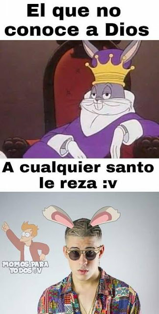 El verdadero conejo