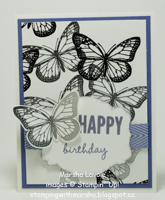 best of butterflies, celebrate today