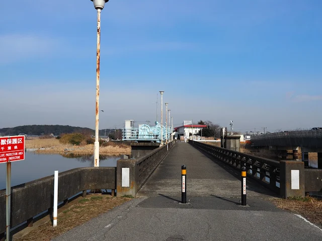 手賀沼自然ふれあい緑道　曙橋