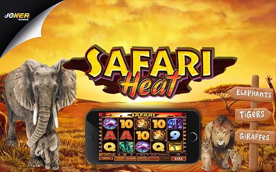 Slotxo safari heat