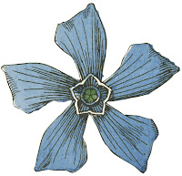 Dover flower