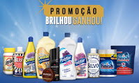 Promoção Brilhou Ganhou Poliflor, Finish, Nugget, Destac brilhouganhou.com.br
