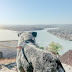 Dog-Friendly Views in Austin, TX