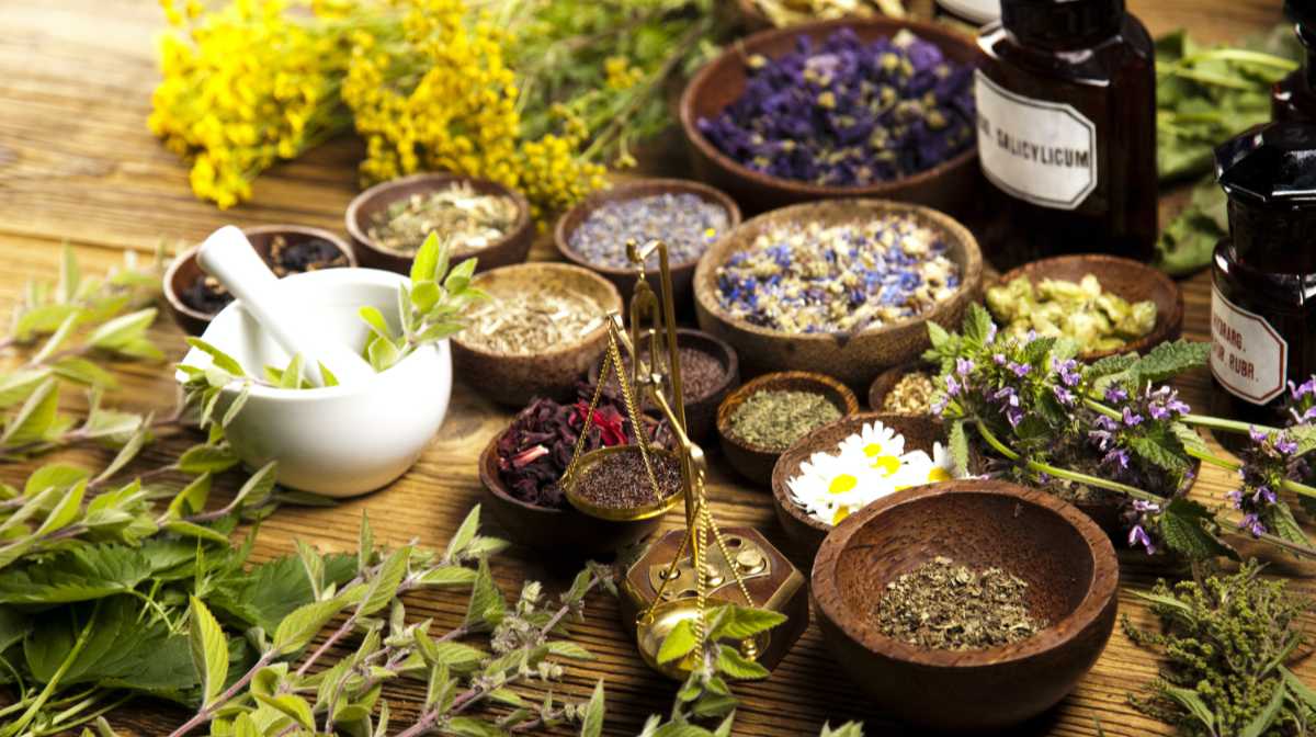 Image: a mortar and pestle, tincture bottles, clay bowls filled with dried leaves and flowers, and sprigs of fresh herbs
