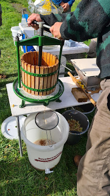 Pressing juice from the apple pulp