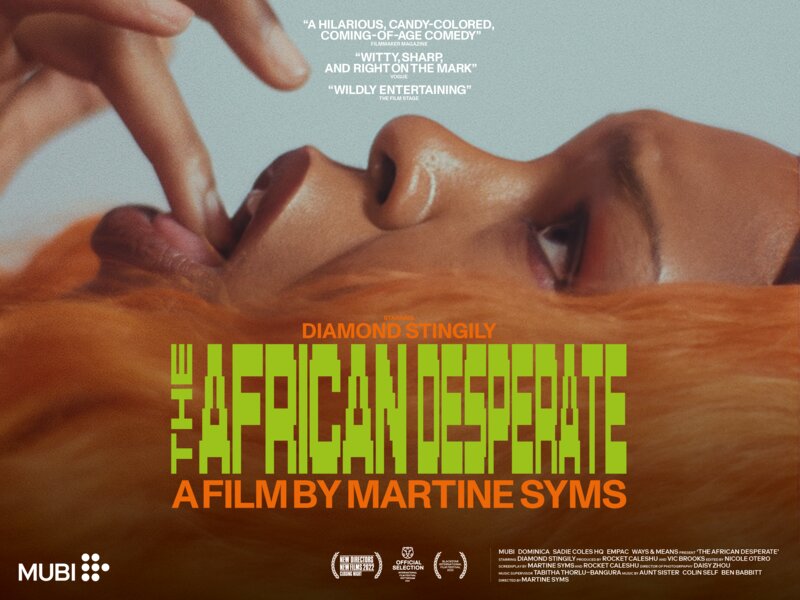 the african desperate poster