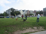 So I am sitting on a park bench watching dogs catch frisbee's and I decide . (san francisco duboce park)