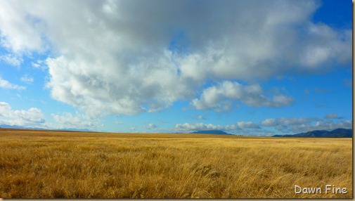 San Rafael Grasslands_008