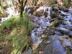 by E.V.Pita.... Spain, amazing rain forest in River Barragan (Pazos de Borben) / Por E.V.Pita.... Sorprendente bosque del río Barragan (Galicia, Pazos de Borbén y Fornelos de Montes) / A fraga do Barragán