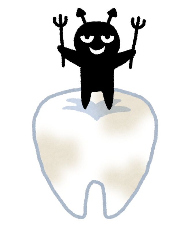 子供の歯である乳歯とは 乳歯の特徴について