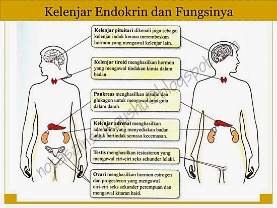 Nota Sains Tingkatan 4 Bab 2 | Nota Cikgu Shu