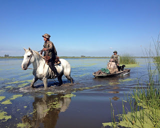 duck hunting argentina 